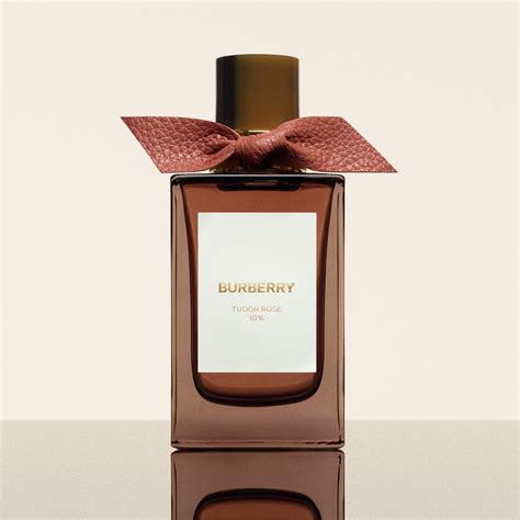 burberry amber heath buy|burberry perfume amber.